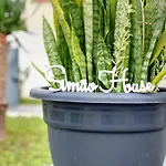 Casa de Férias Simão House